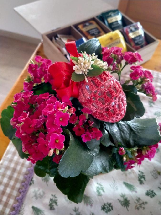 Vignole Antico Melo B&B المظهر الخارجي الصورة